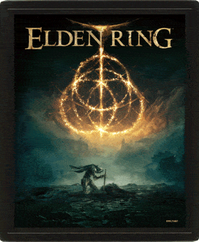 Elden Ring Framed 3D Picture