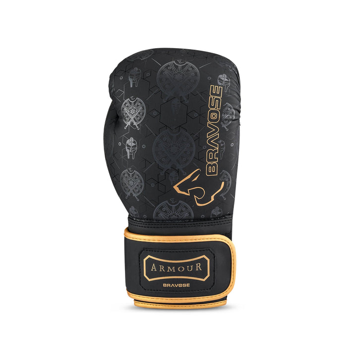 Armour 2.0 Boxing Gloves-2