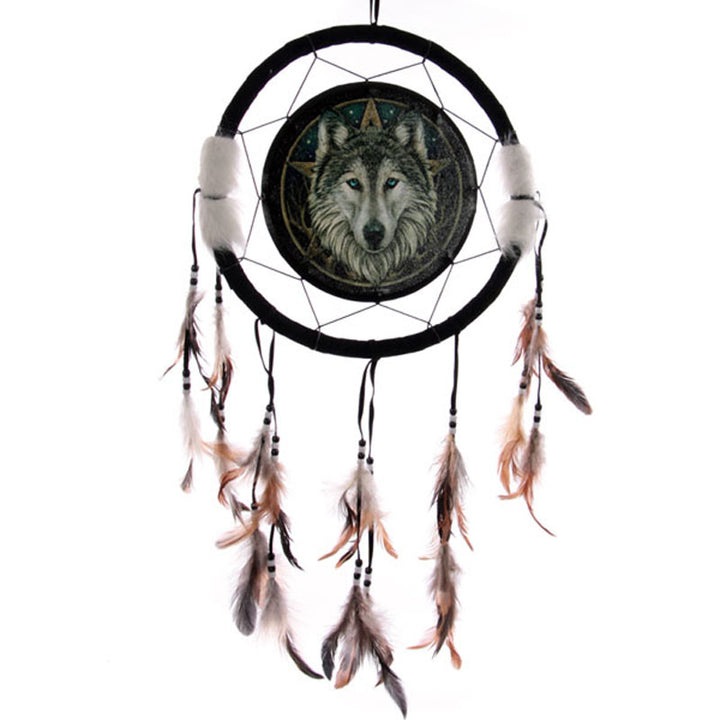 Dreamcatcher (Medium) - Lisa Parker Celtic Wolf DCP02Q by Puckator