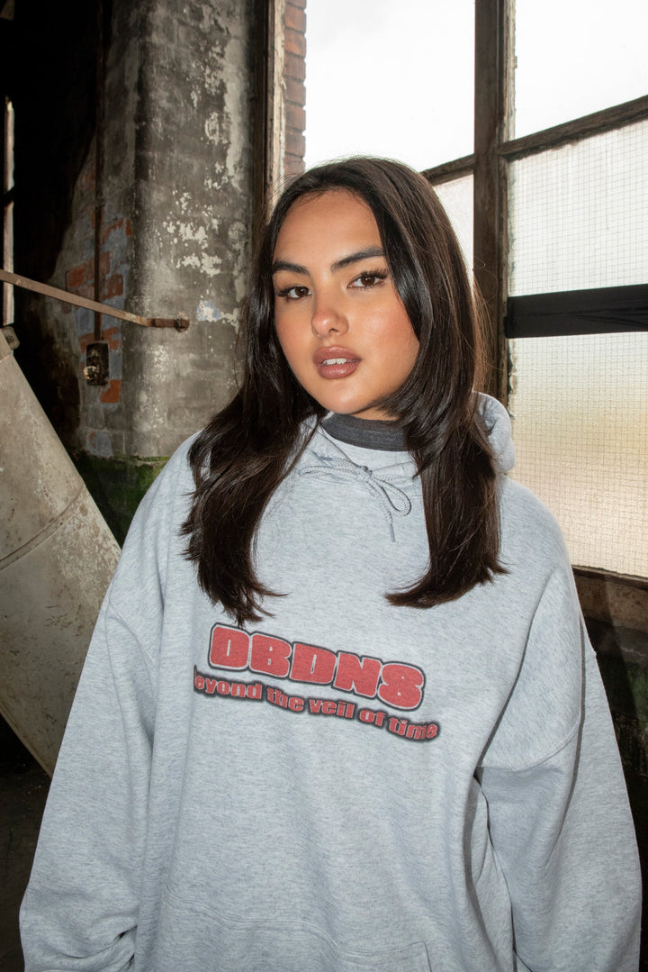 Hoodie in Ash Grey With DBNDNS Logo Print by Dreambutdonotsleep