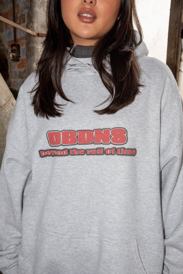 Hoodie in Ash Grey With DBNDNS Logo Print by Dreambutdonotsleep