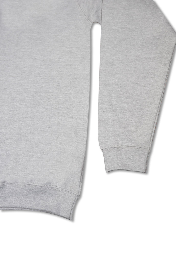 1/4 Zip Sweatshirt in Heather Grey with Dream Sports Tonal Logo Embroidery by Dreambutdonotsleep