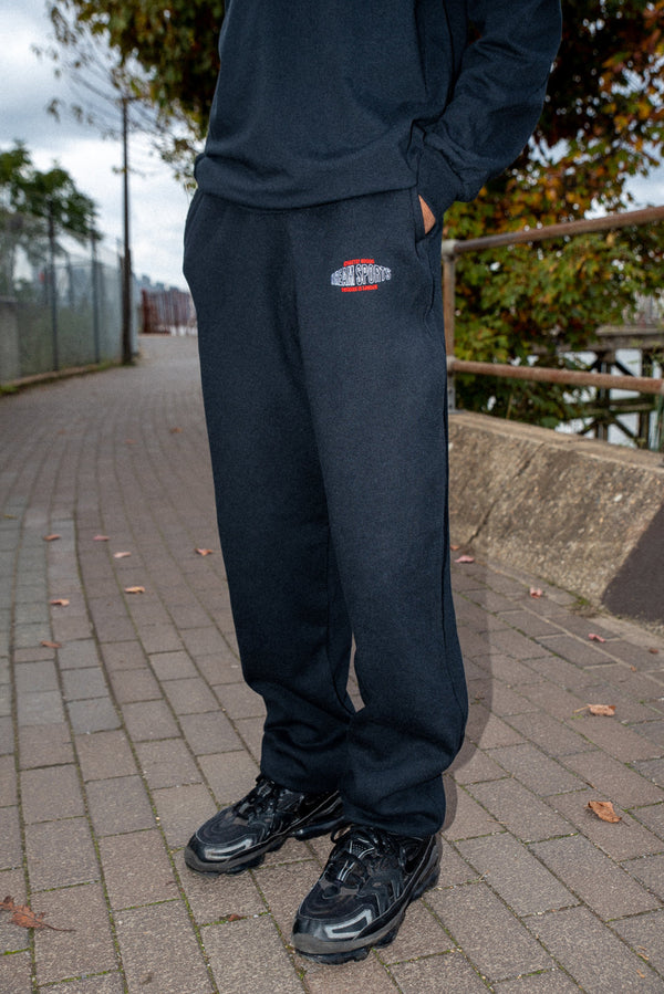 Joggers in Black with Dream Sports Embroidery-0