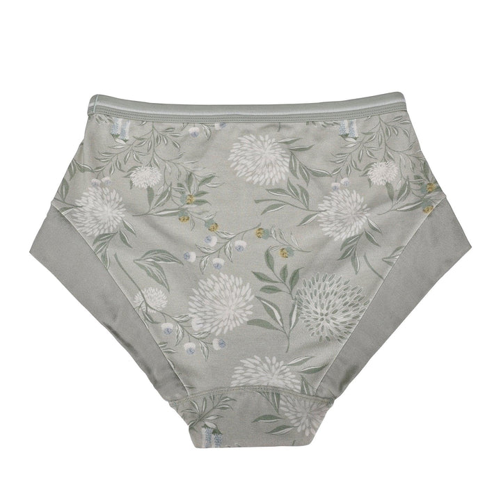 Valentina -  High Waisted Silk & Organic Cotton Full Brief-1