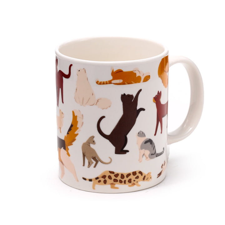 Collectable Porcelain Mug - Feline Fine Cats MUG437 by Puckator