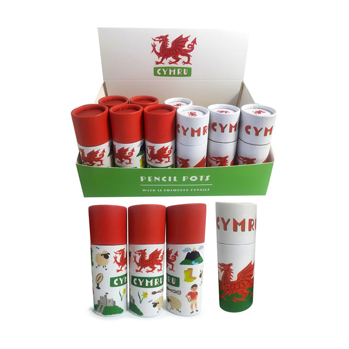 Colouring Pencil Tube - Welsh Dragon PCASE91-0