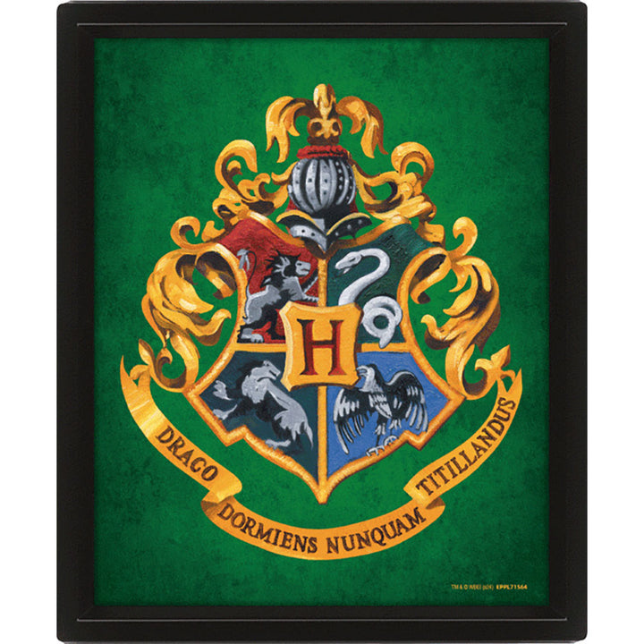 Harry Potter Slytherin Framed 3D Picture by Entertainment>Movies>Harry Potter