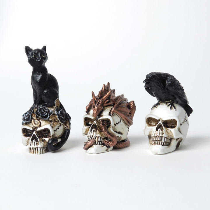 Black Cat Skull Miniature by Alchemy of England