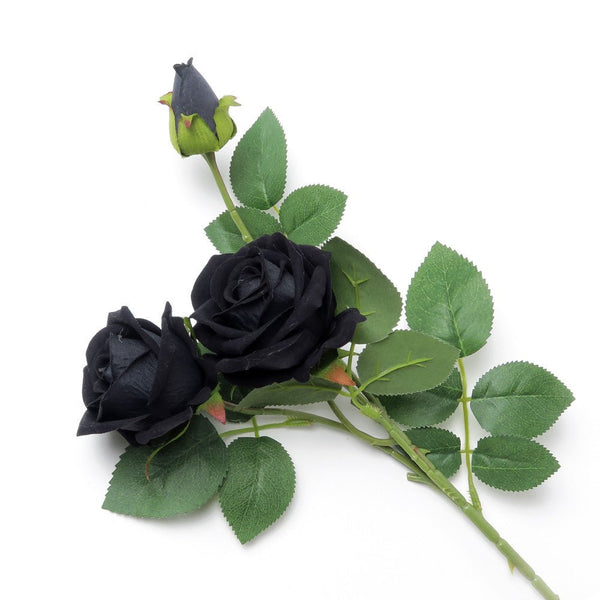 Black Rose Spray by Alchemy of England