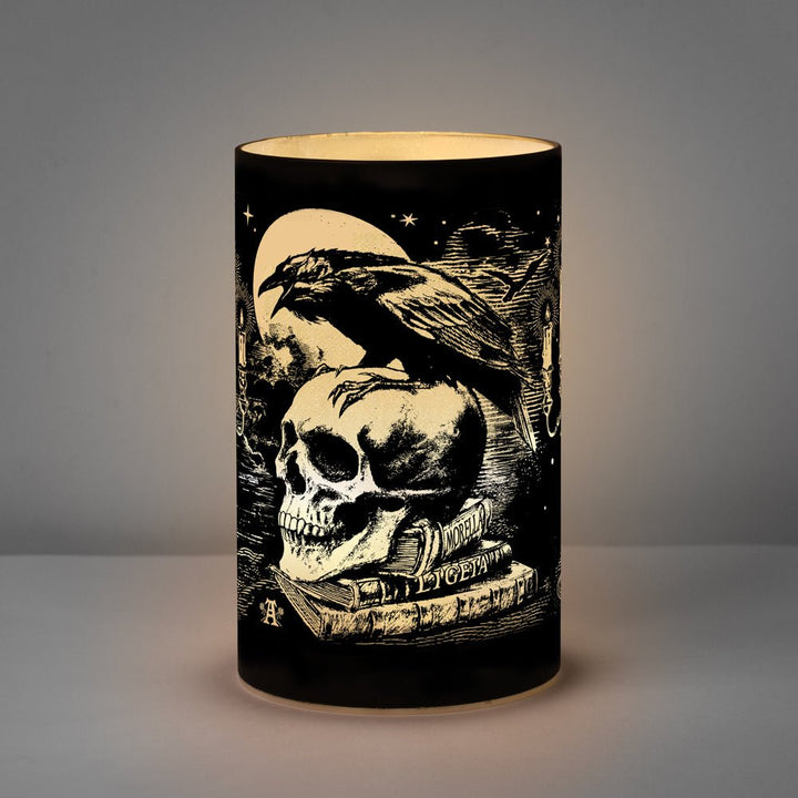 Edgar Allan Poe 'Nevermore' Raven LED Light by Alchemy of England