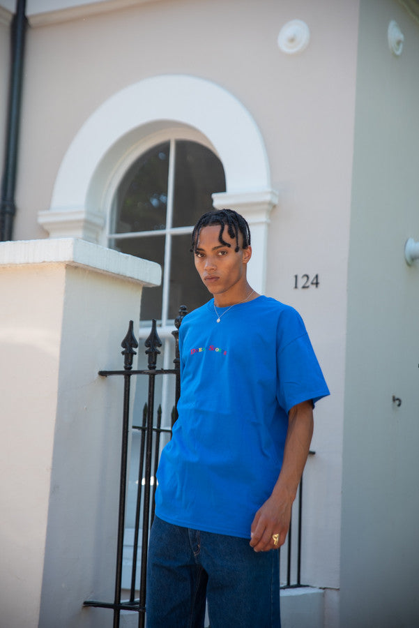 Short Sleeved T-Shirt in Royal Blue with Dream Sports Embroidery by Dreambutdonotsleep