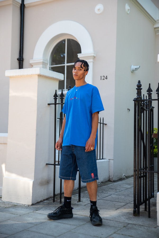 Short Sleeved T-Shirt in Royal Blue with Dream Sports Embroidery by Dreambutdonotsleep