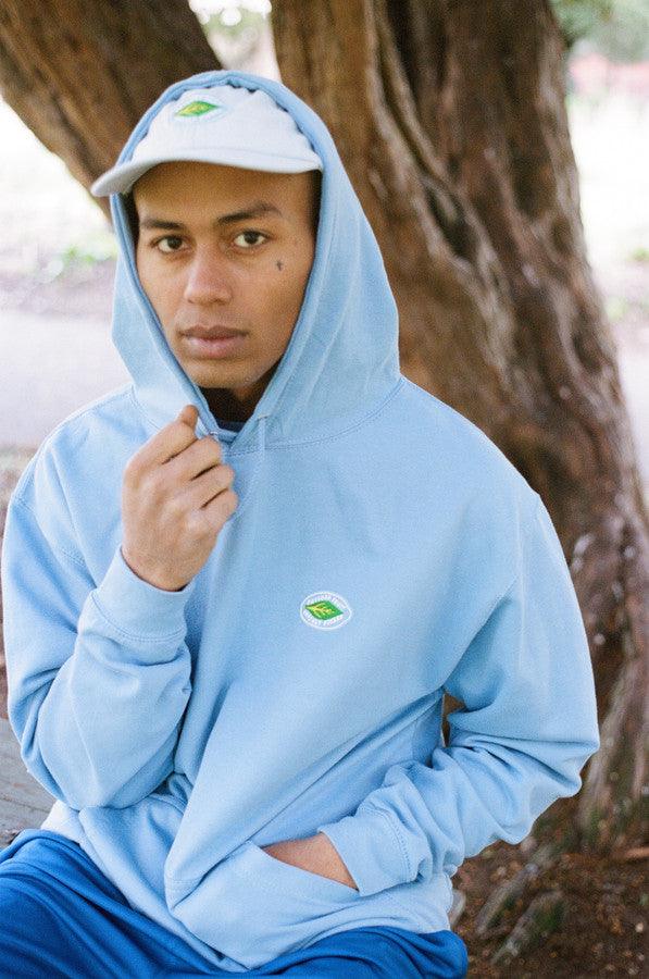 Hoodie in Cornflower Blue with Fruit Sticker Embroidery by Dreambutdonotsleep