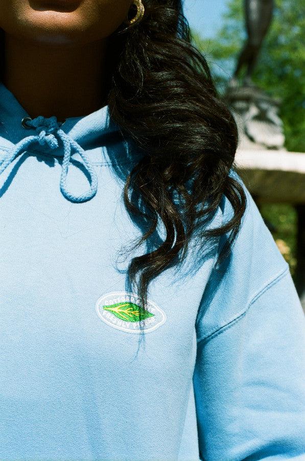 Hoodie in Cornflower Blue with Fruit Sticker Embroidery by Dreambutdonotsleep