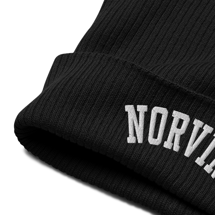 Essential Organic Ribbed Beanie-1