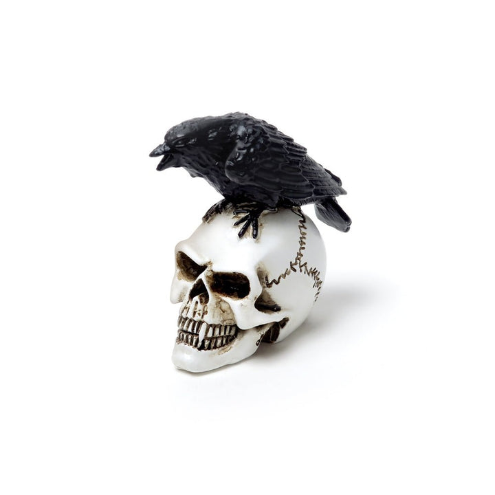 Raven Skull Miniature by Alchemy of England