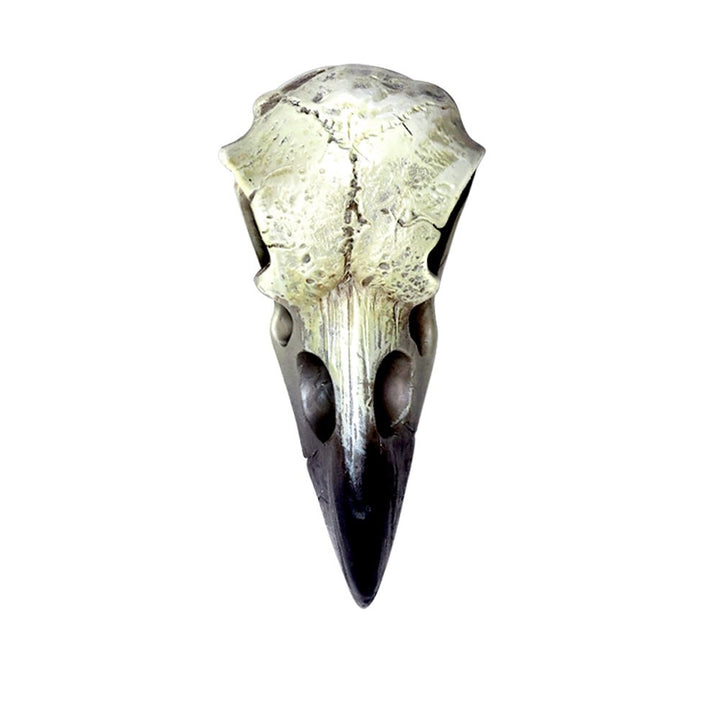 Reliquary Raven Skull Talisman Necklace by Alchemy of England