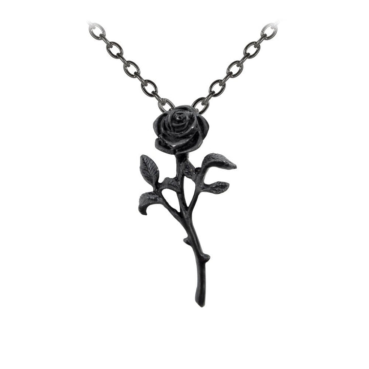 The Romance of The Black Rose Pendant by Alchemy of England