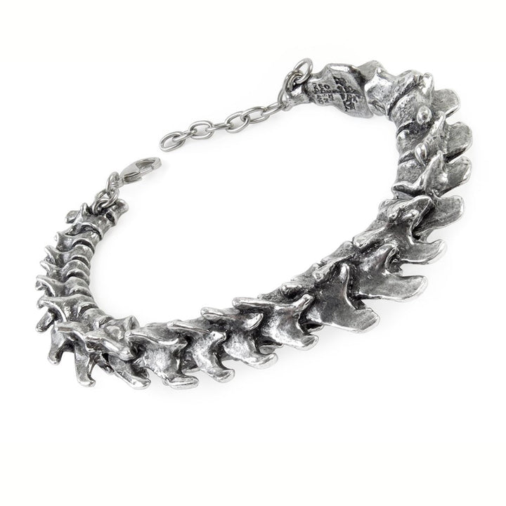 Vertebrae Bracelet by Alchemy of England