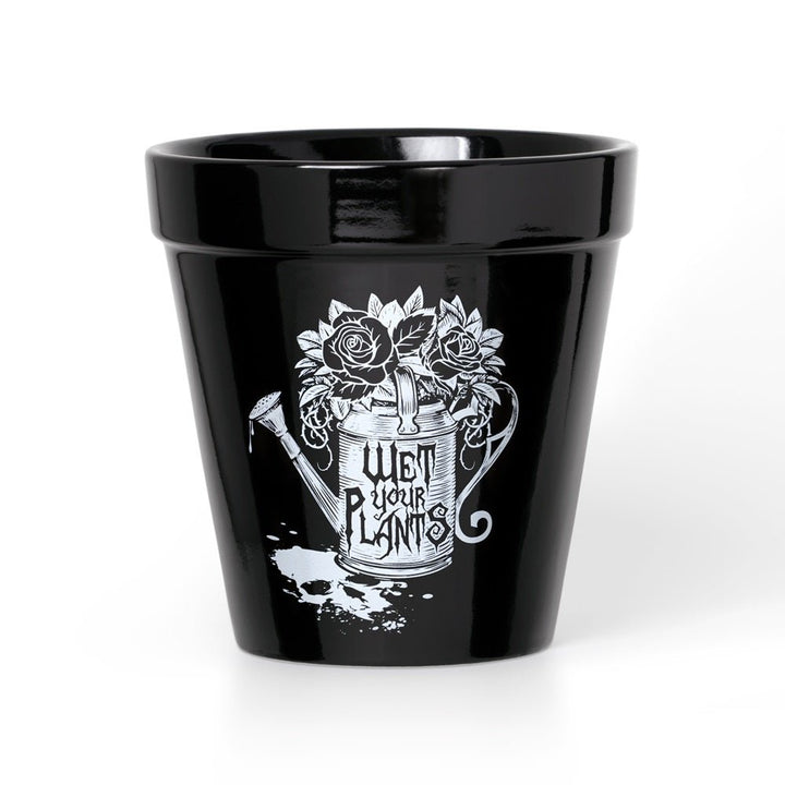 Wet Your Plants Plant Pot by Alchemy of England