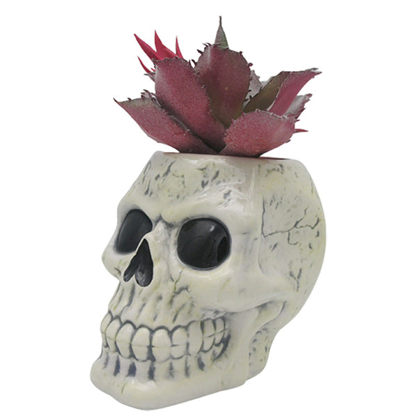 Shaped Ceramic Garden Planter/Plant Pot - Ancient Skull PLAN26-0