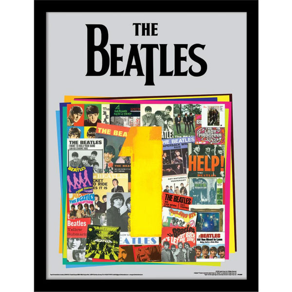 The Beatles Picture Albums 16 x 12 by The Beatles