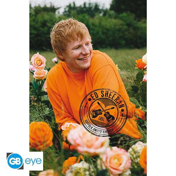 Ed Sheeran Poster Field 90 by Ed Sheeran