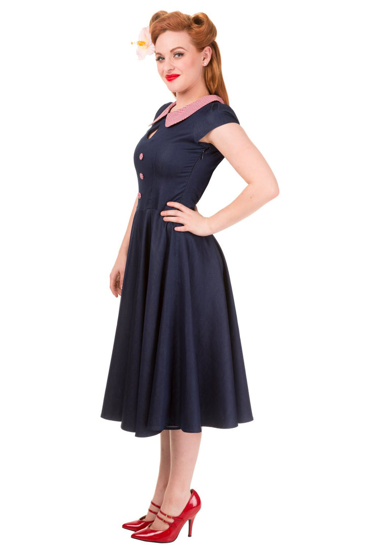 Banned Apparel - Blueberry Hill Dress - napoleonshousecleaning Husinec