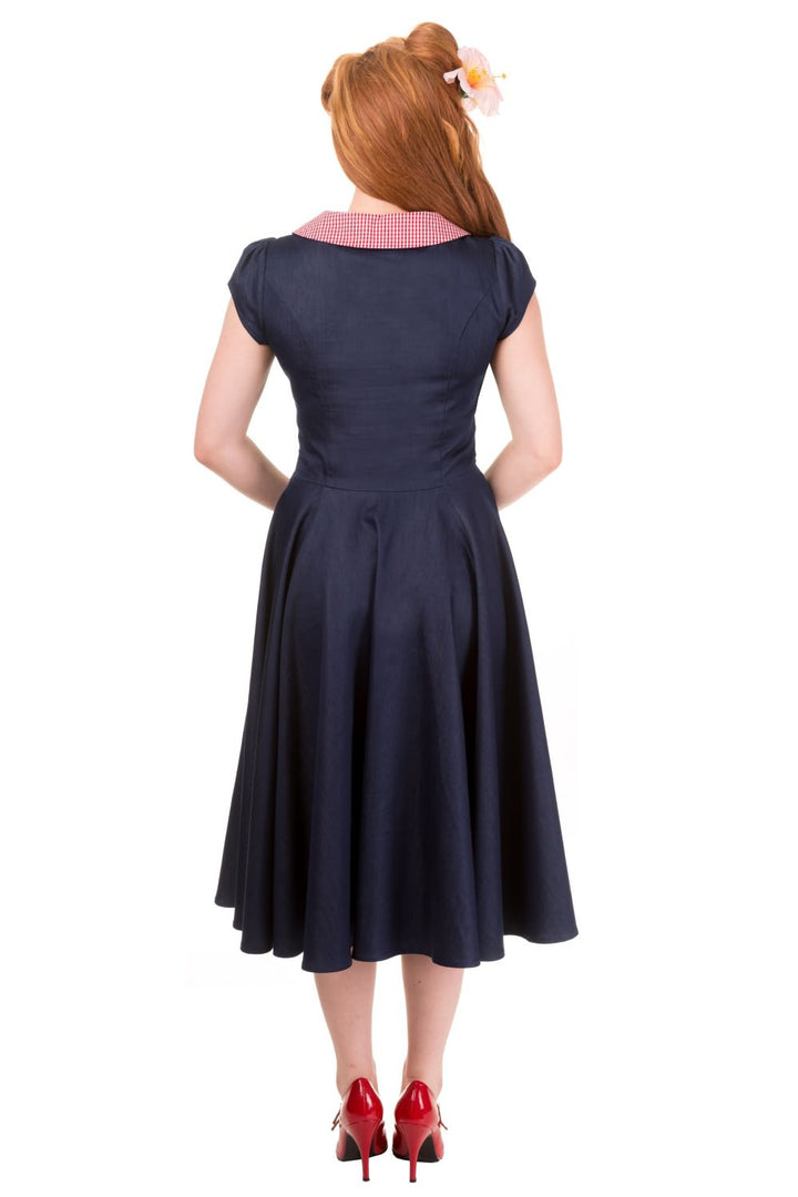 Banned Apparel - Blueberry Hill Dress - napoleonshousecleaning Husinec